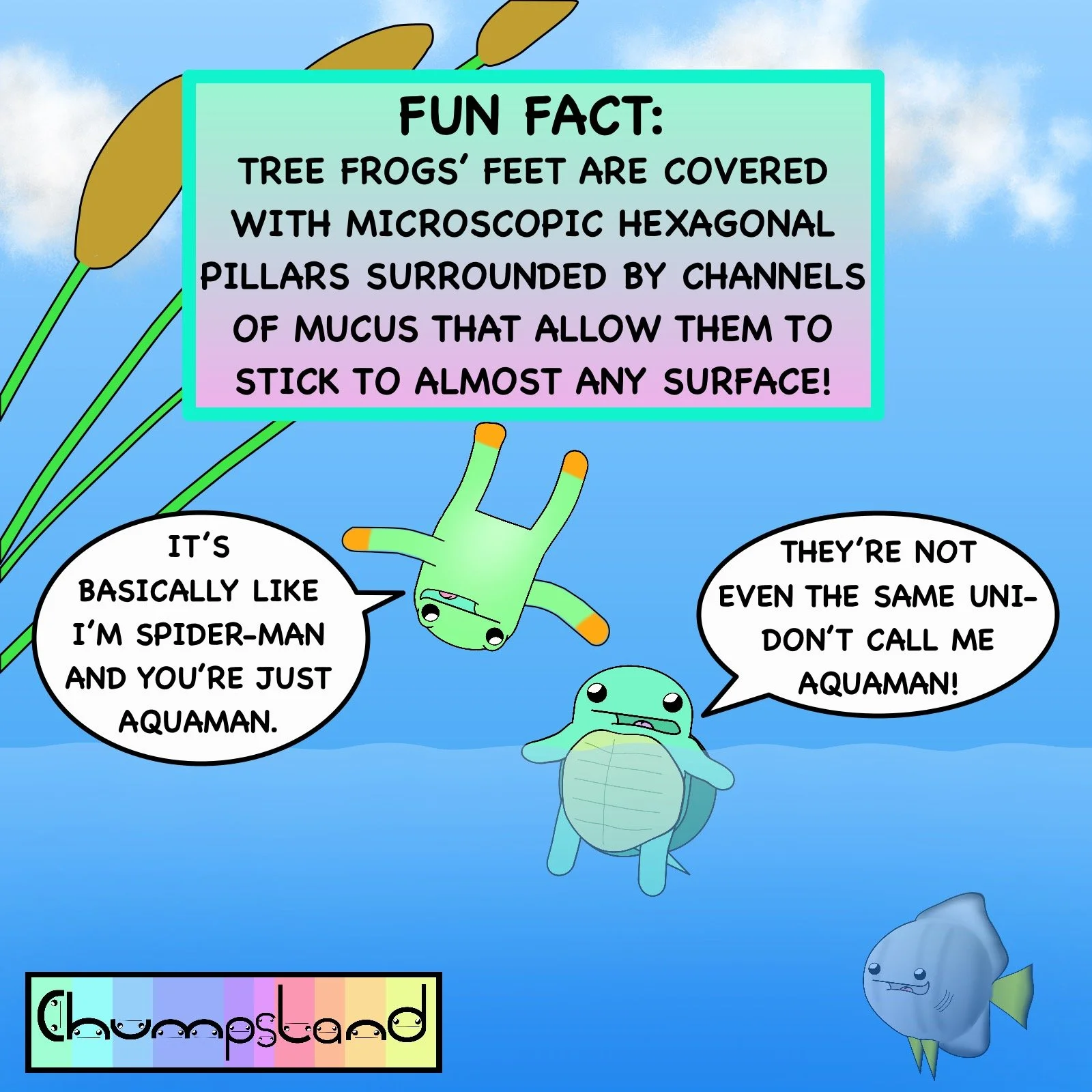 Fun Fact About Tree Frogs