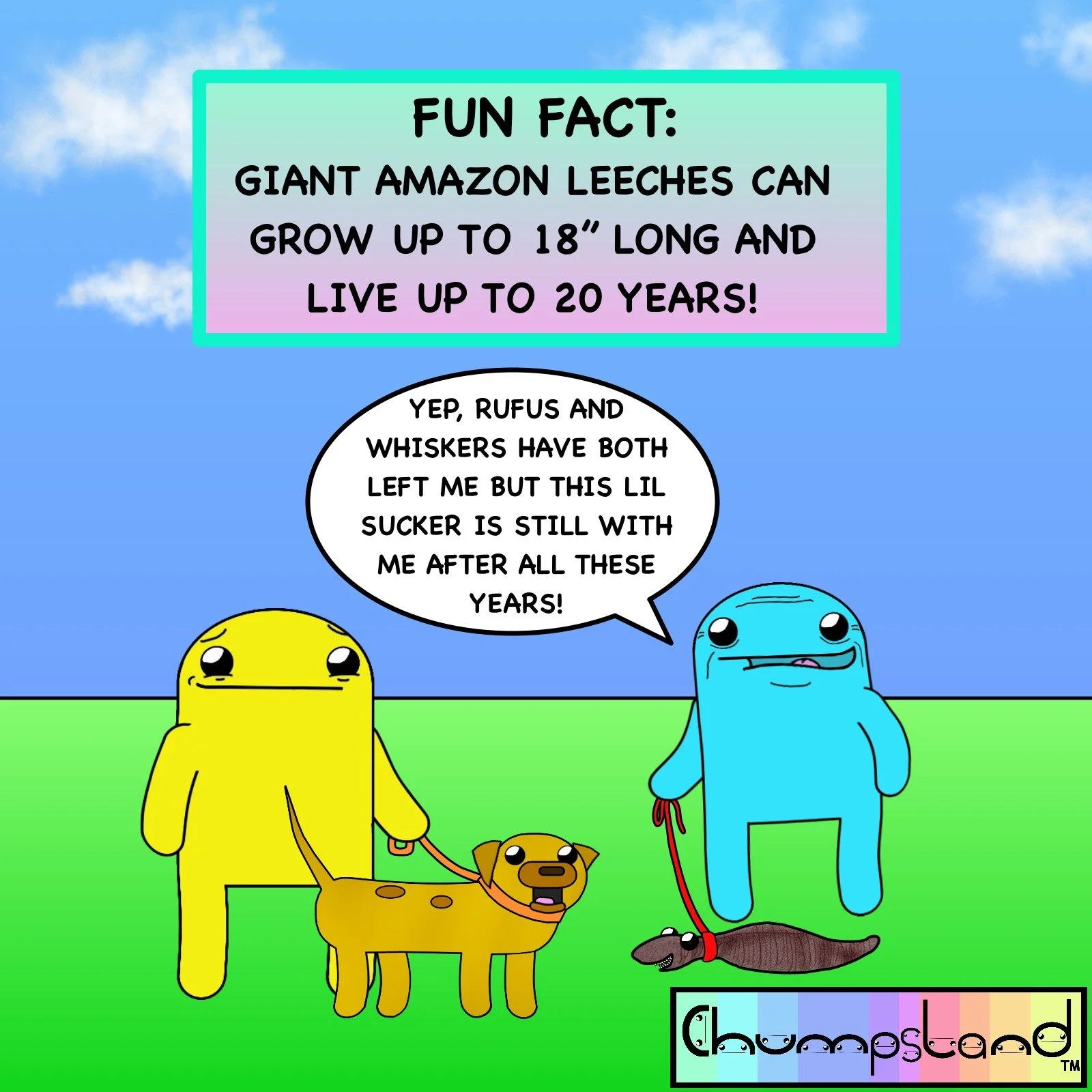 Fun Fact About Leeches