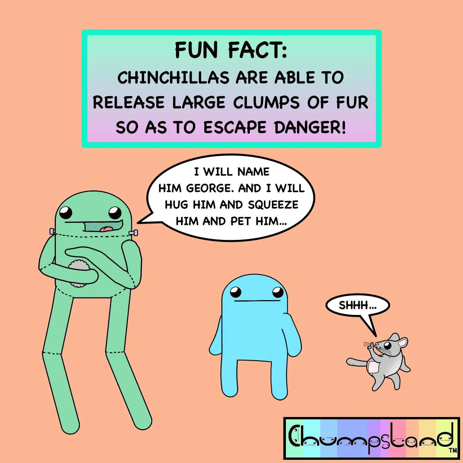 Fun Fact About Chinchillas