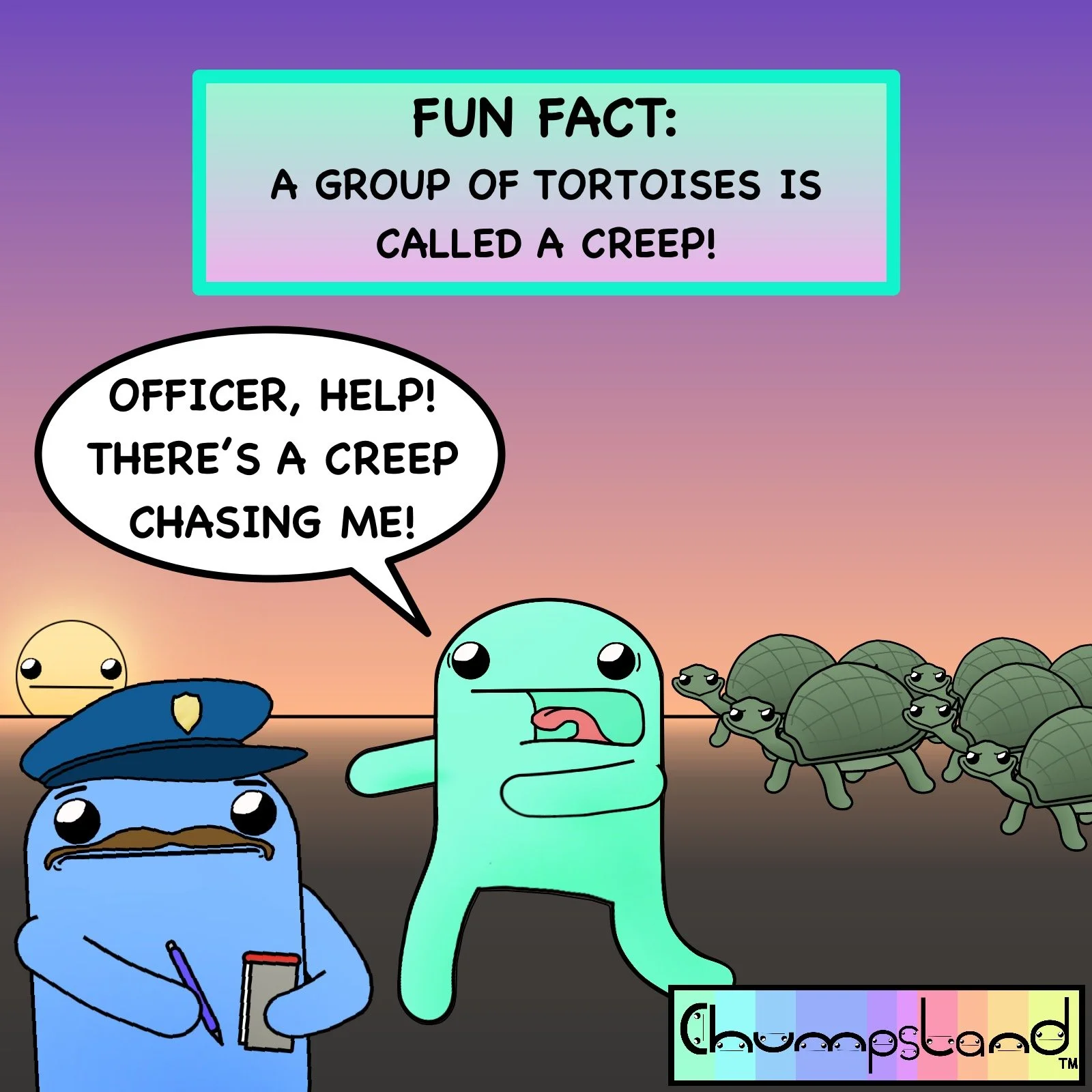 Fun Fact About Tortoises