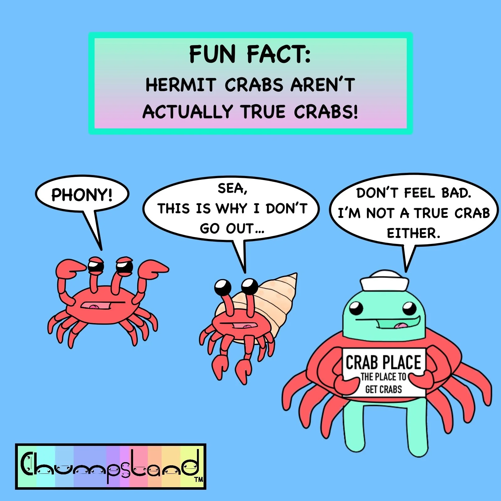 Fun Fact About Hermit Crabs