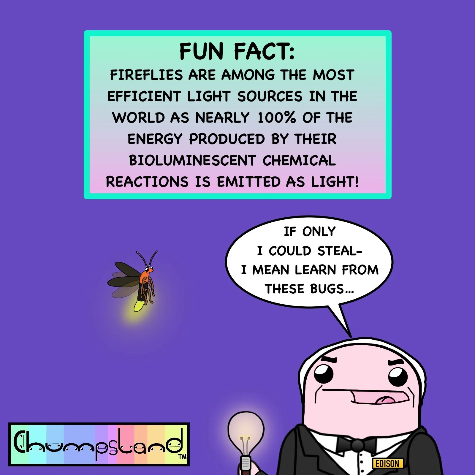 Fun Fact About Fireflies