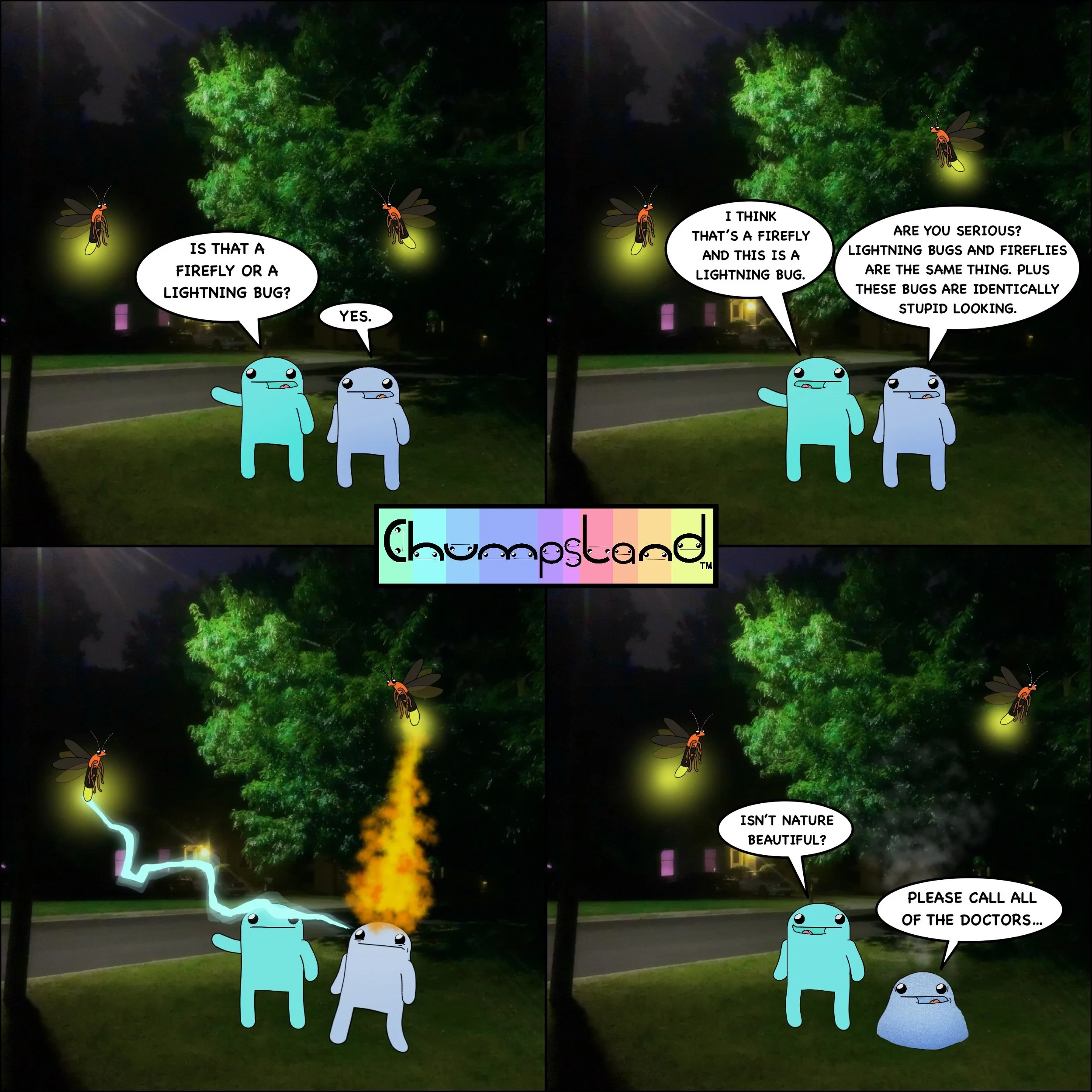 Firefly or Lightning Bug