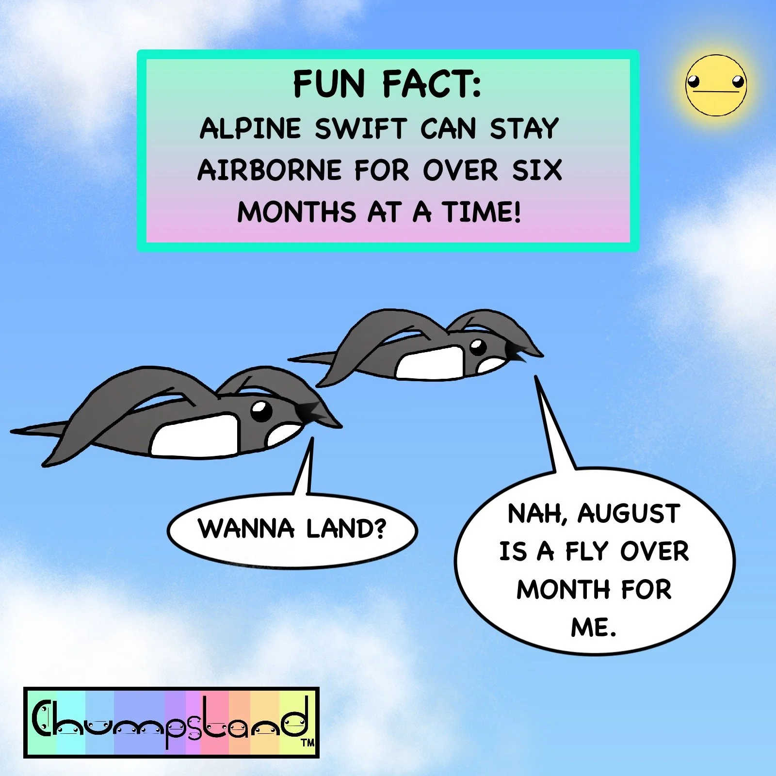 Fun Fact About Alpine Swift