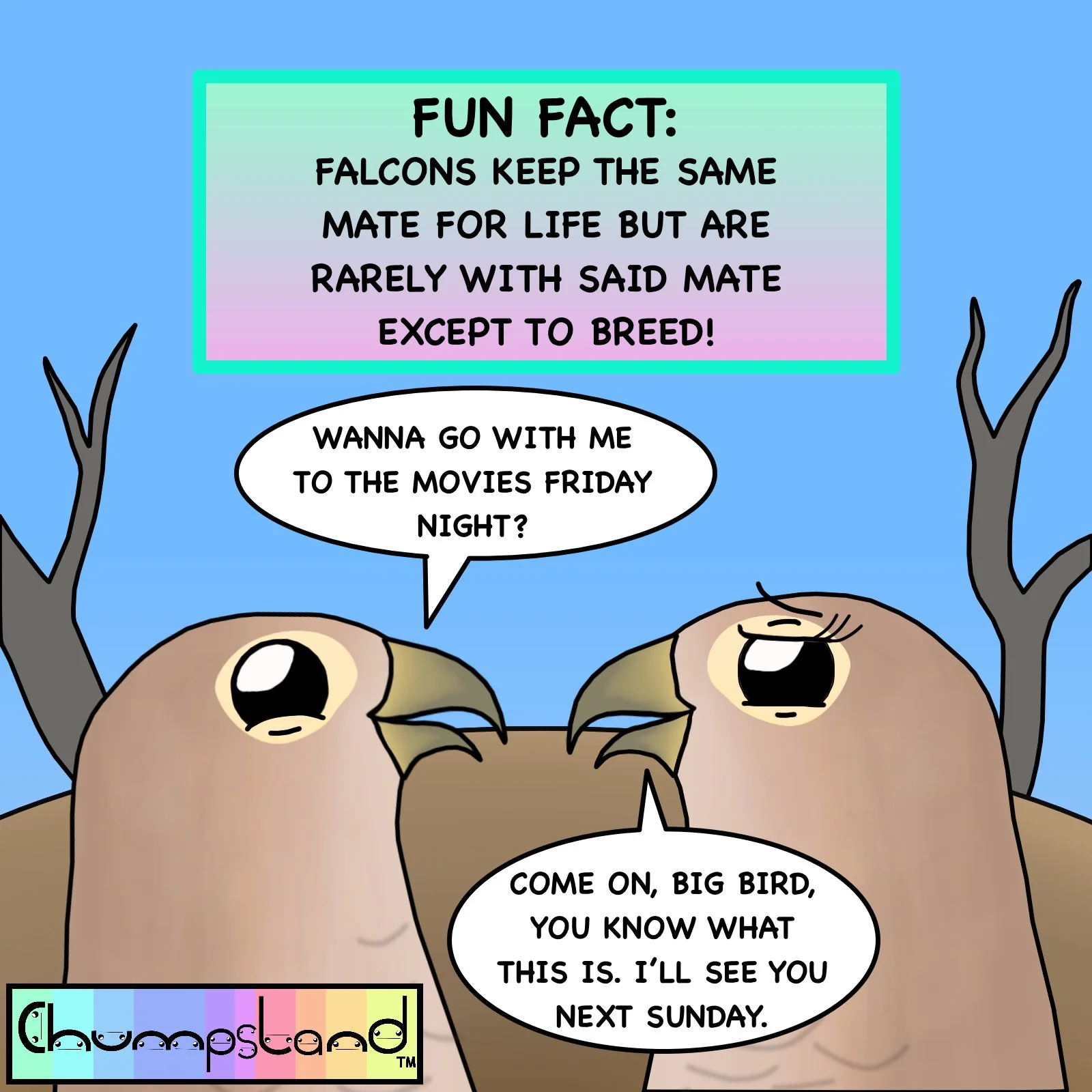 Fun Fact About Falcons