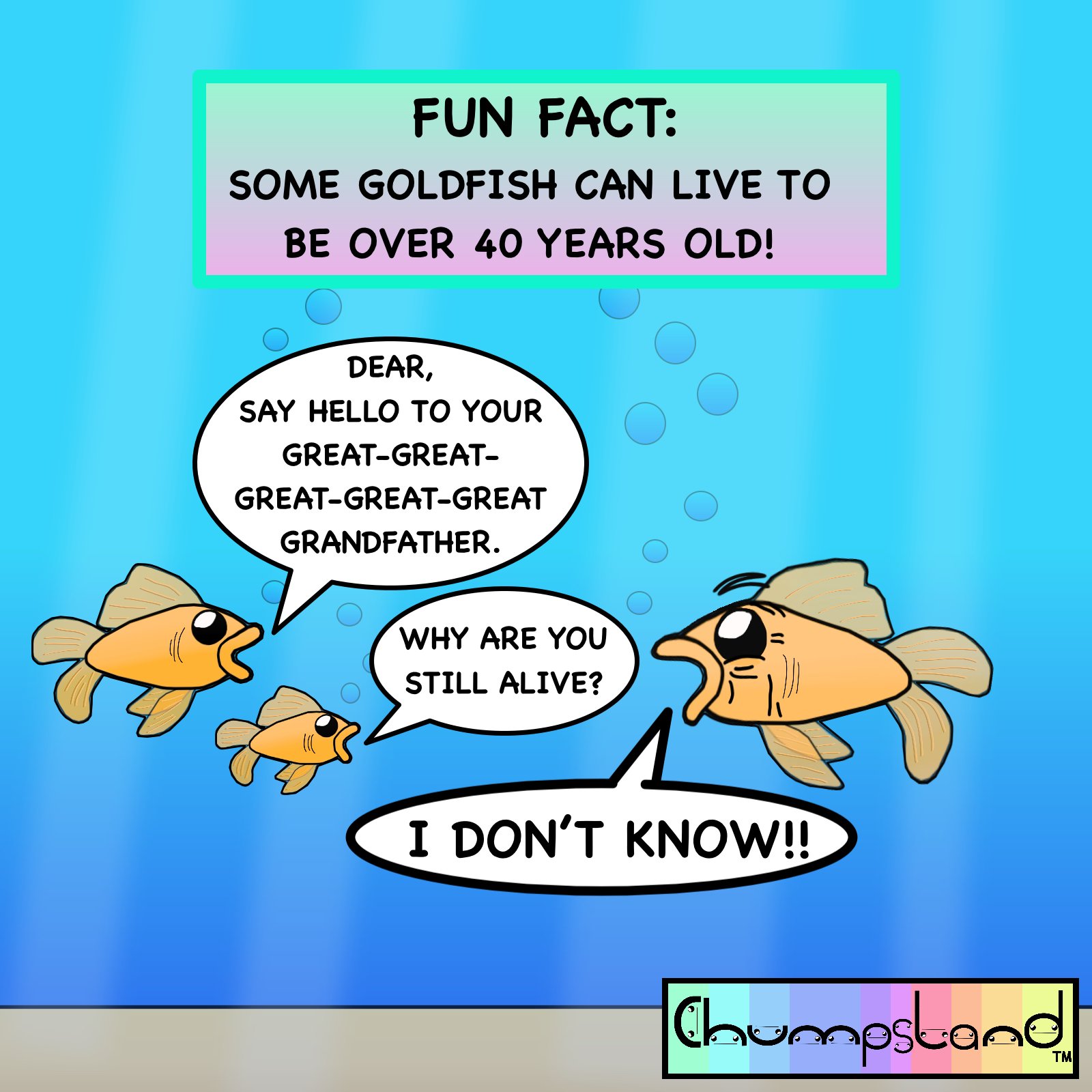 Fun Fact About Goldfish