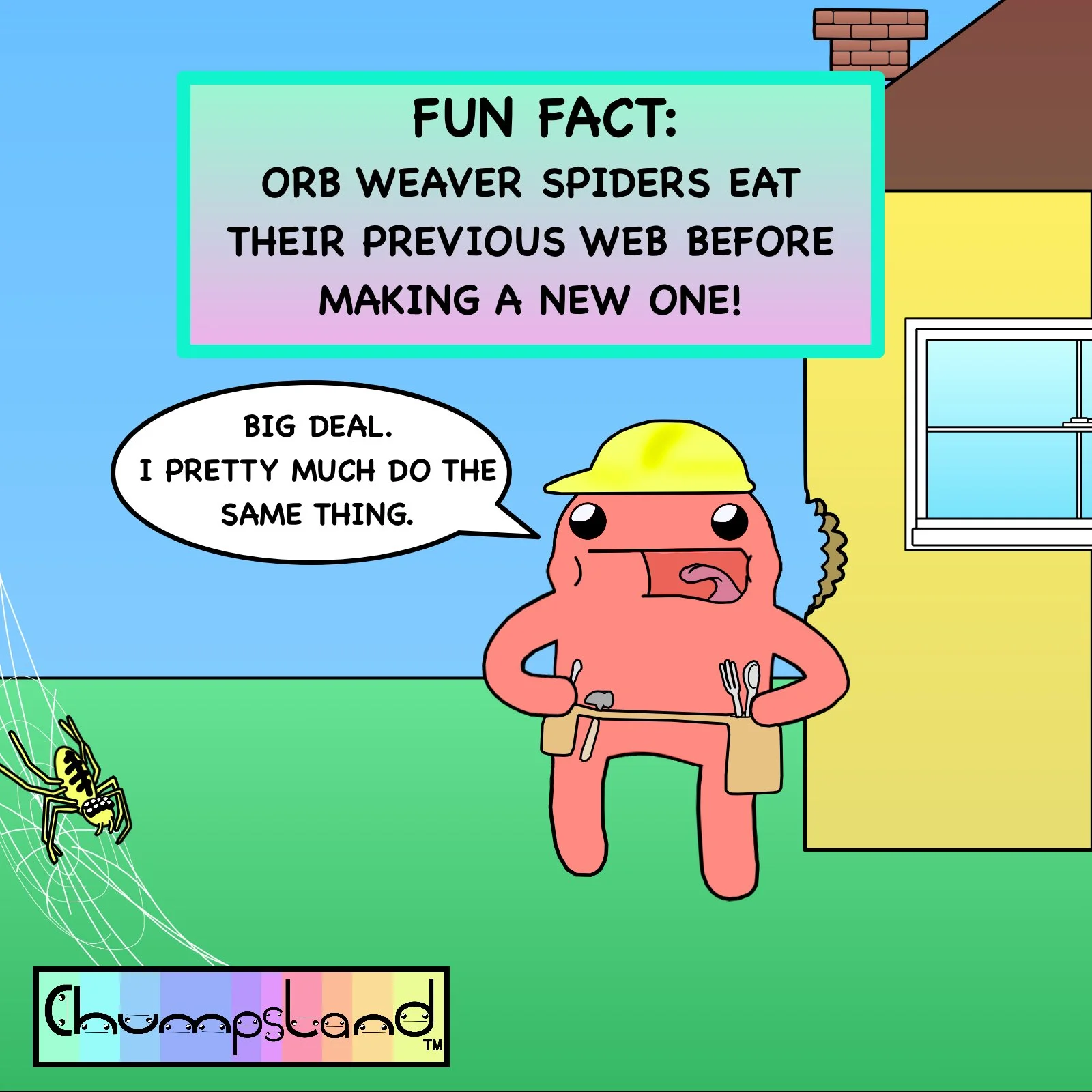 Fun Fact About Orb Weaver Spiders