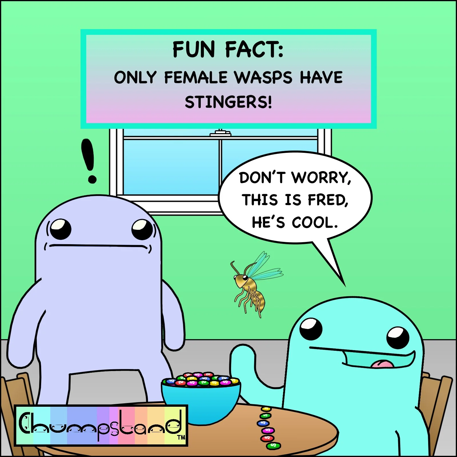 Fun Fact About Wasps