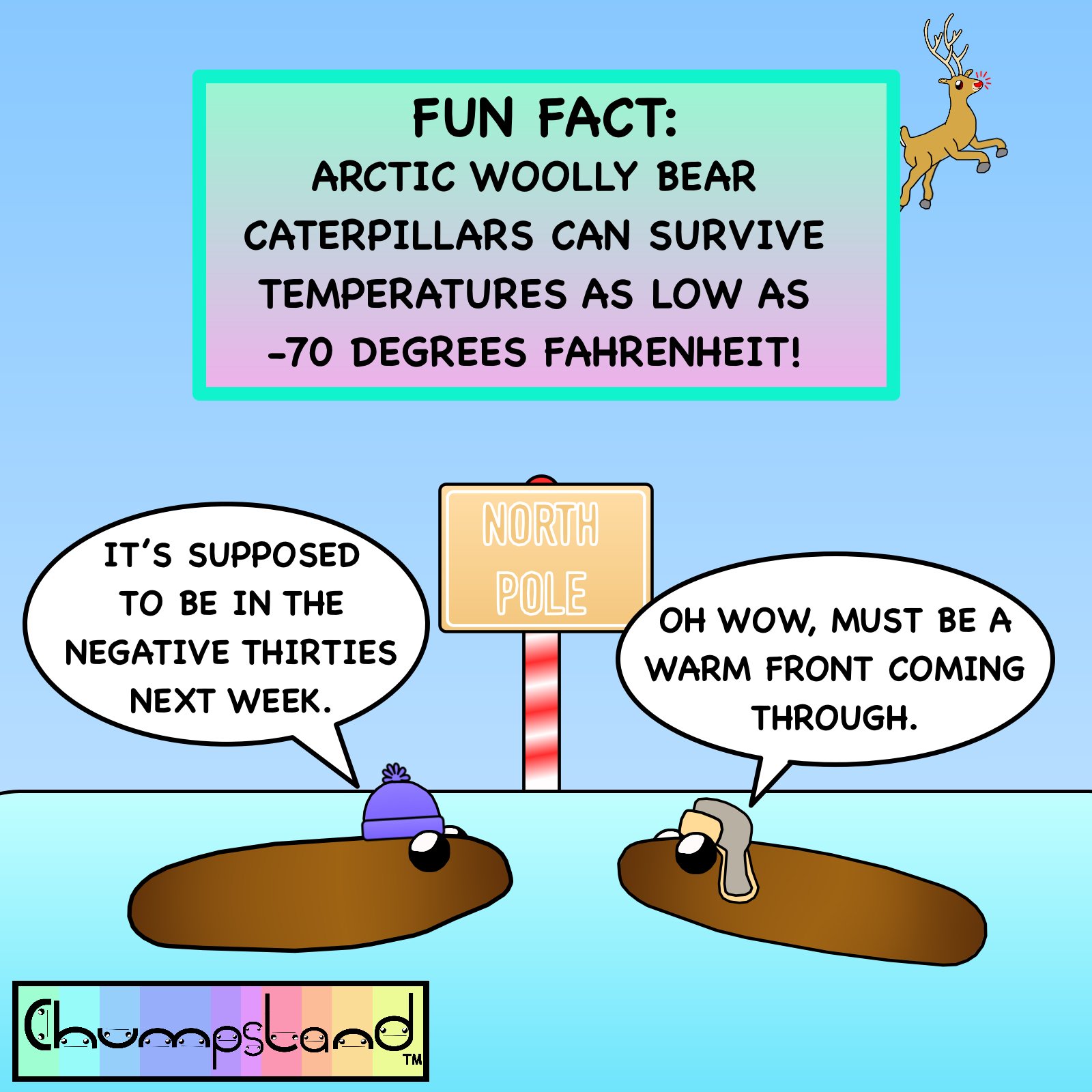 Fun Fact About Arctic Woolly Bear Caterpillars