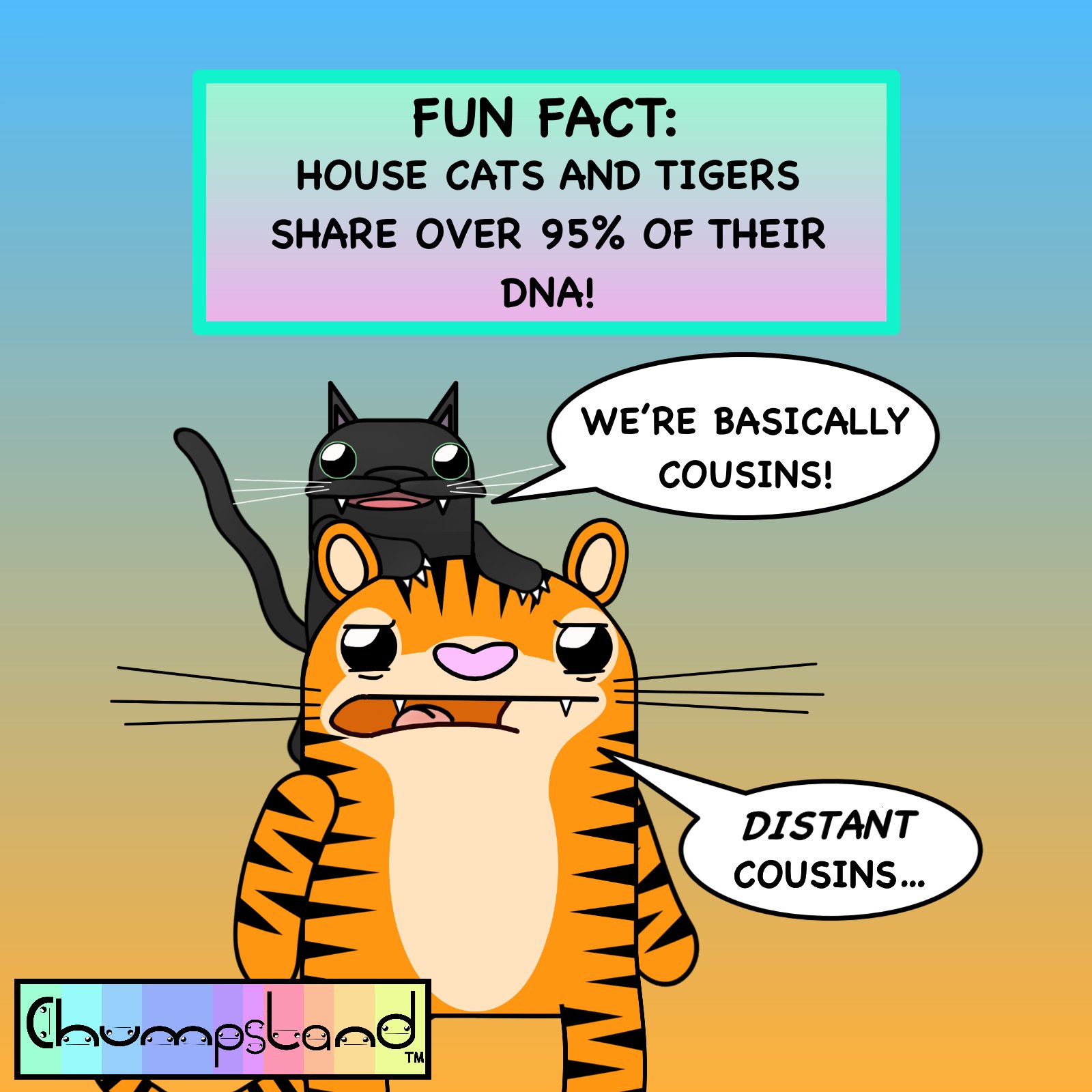 Fun Fact About House Cats