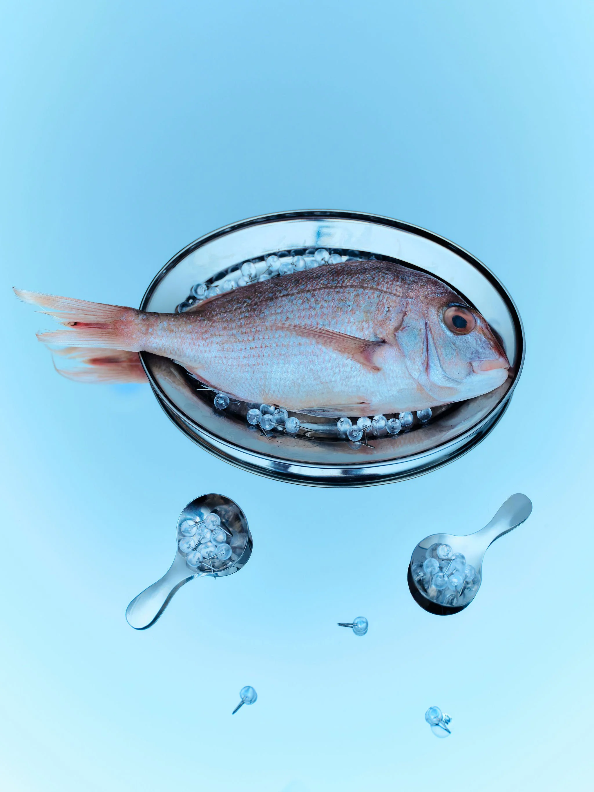 StillLife25970.jpg