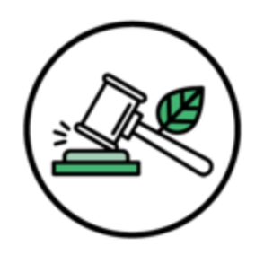 Policy &amp; Regulatory