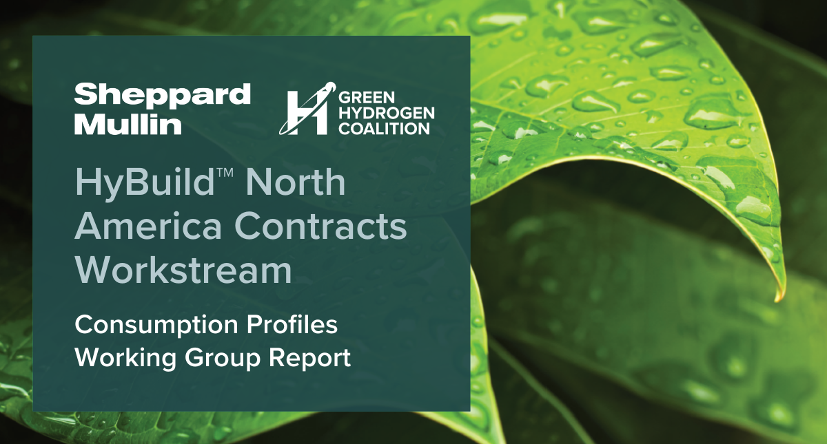 Report | HyBuild™ North America Contracts Workstream Consumption Profiles Working Group