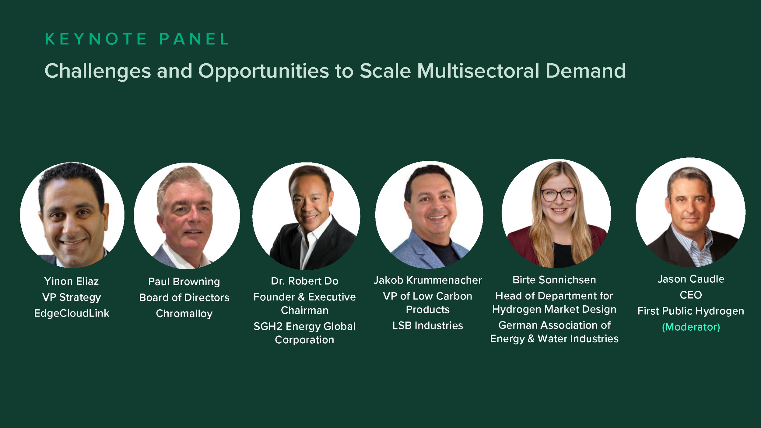 Challenges and Opportunities to Scale Multisectoral Demand