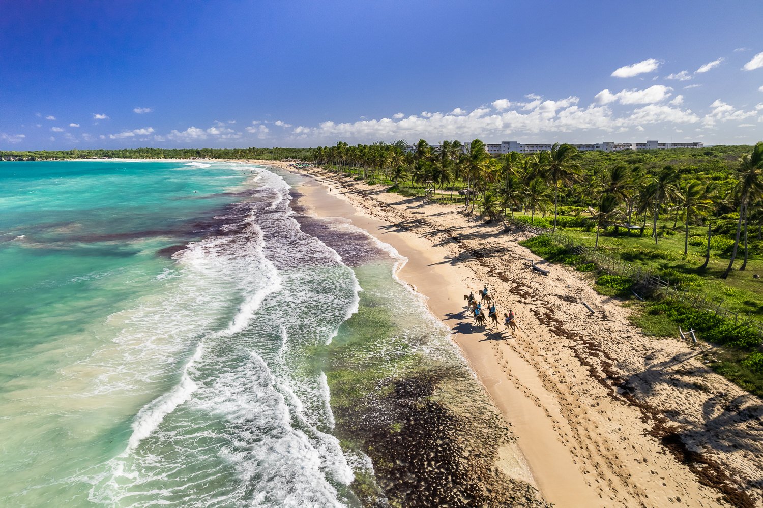 20211229 Air2s Playa Macao Beach, Palm, Horse-001-DJI_0257.jpg