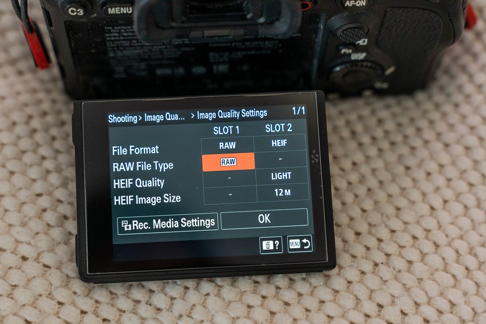 camera settings raw lossless camera settings raw lossless