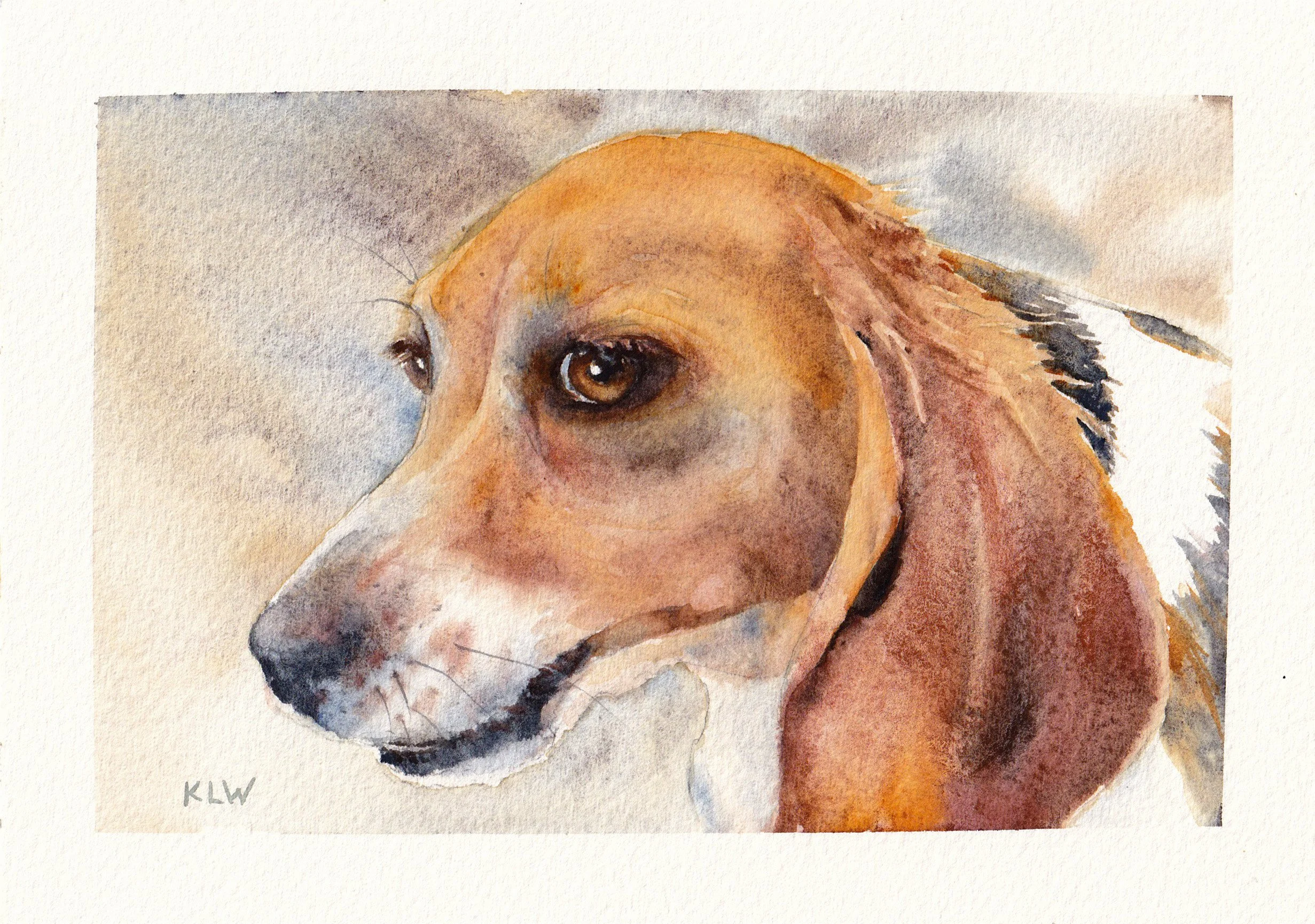 A rescue beagle named Faith, watercolour, A5