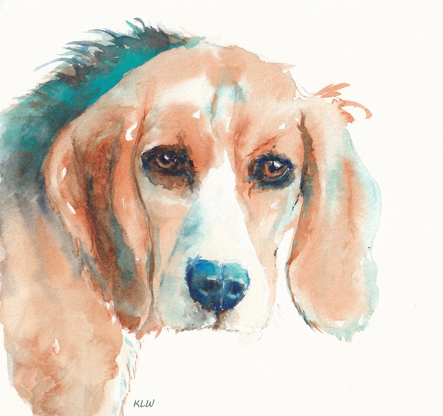Ripley, watercolour, 2025. Beagle portrait painting.