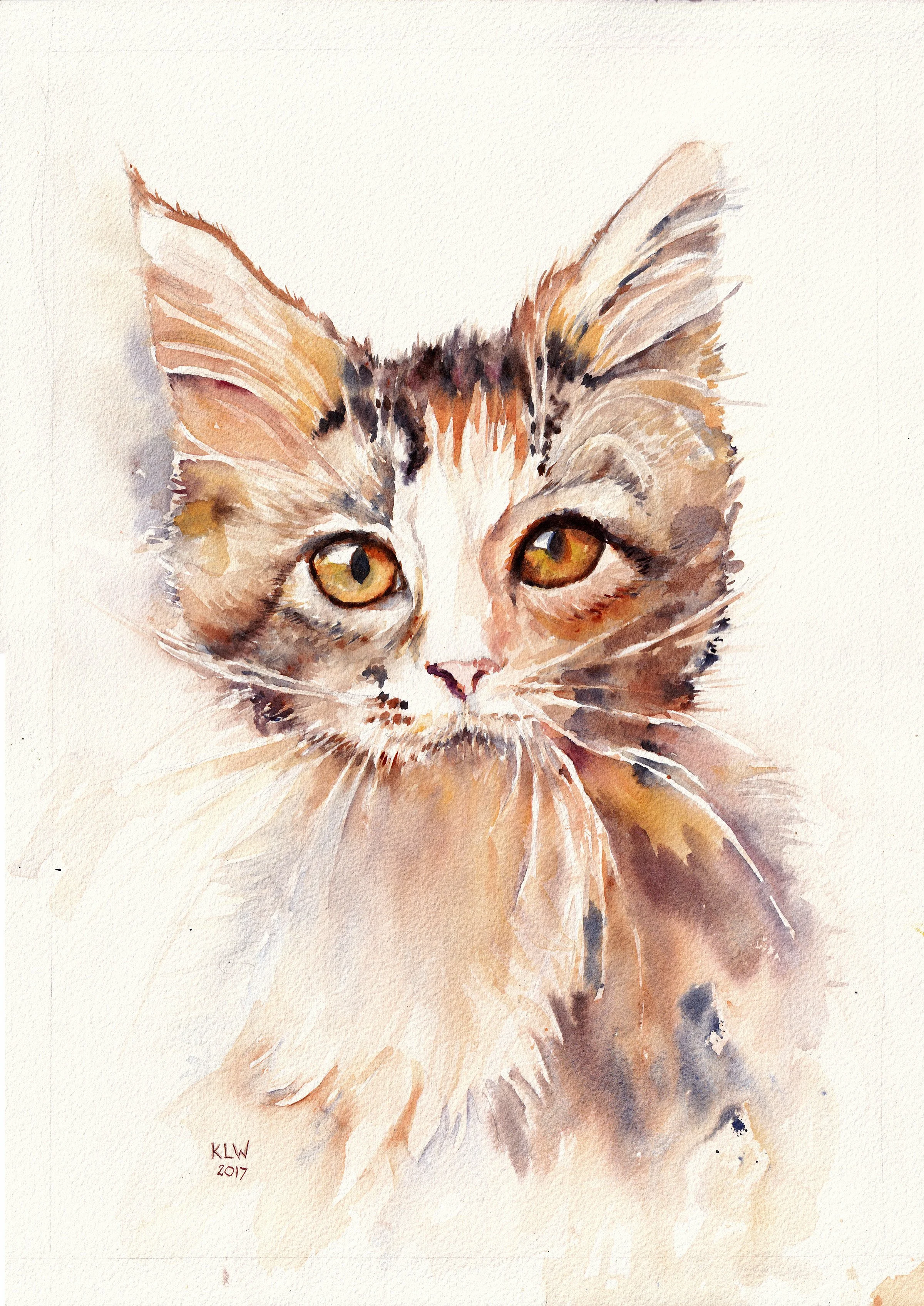 Kitten, watercolour, 2018