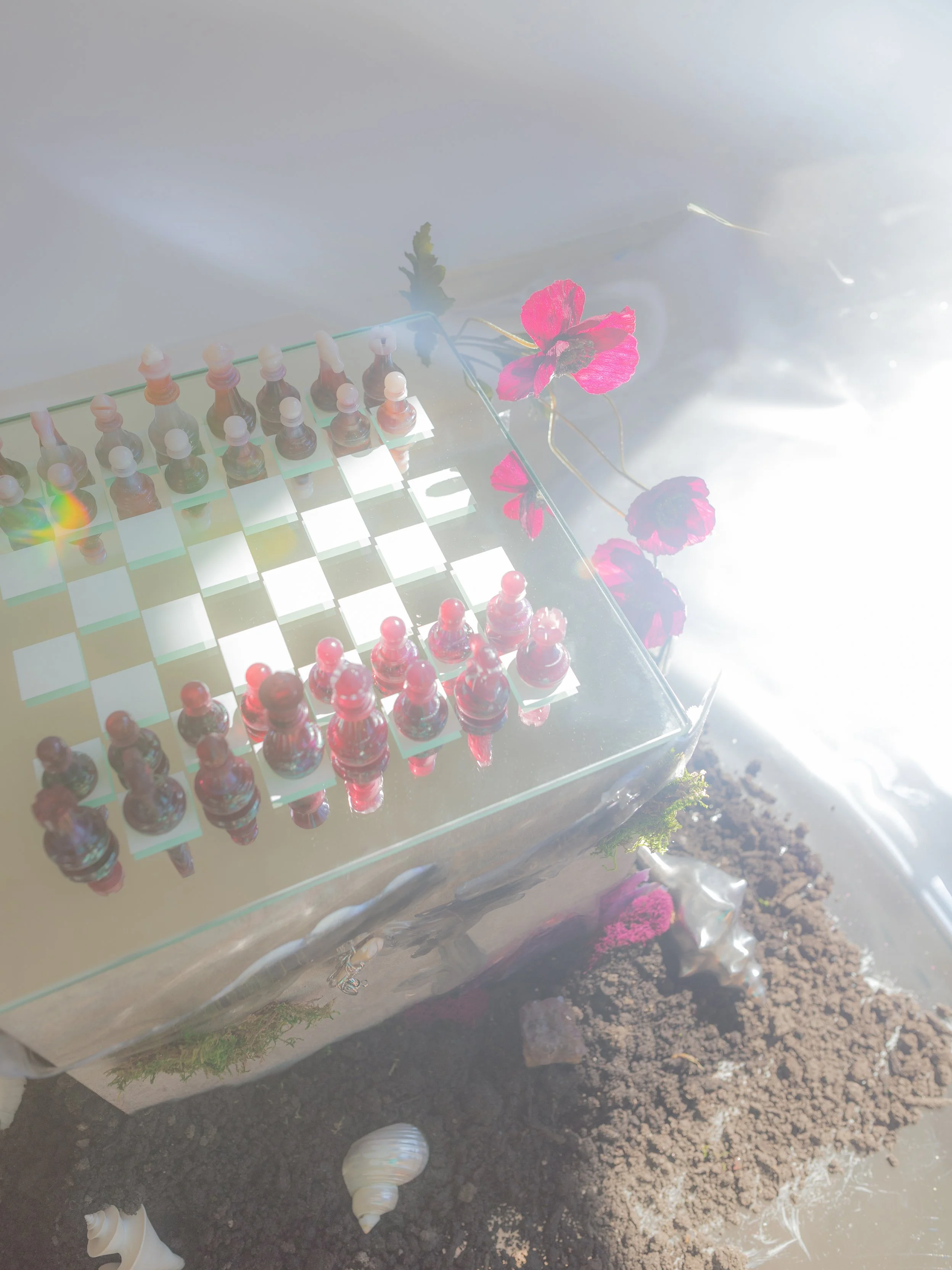 chess-04-4.jpg