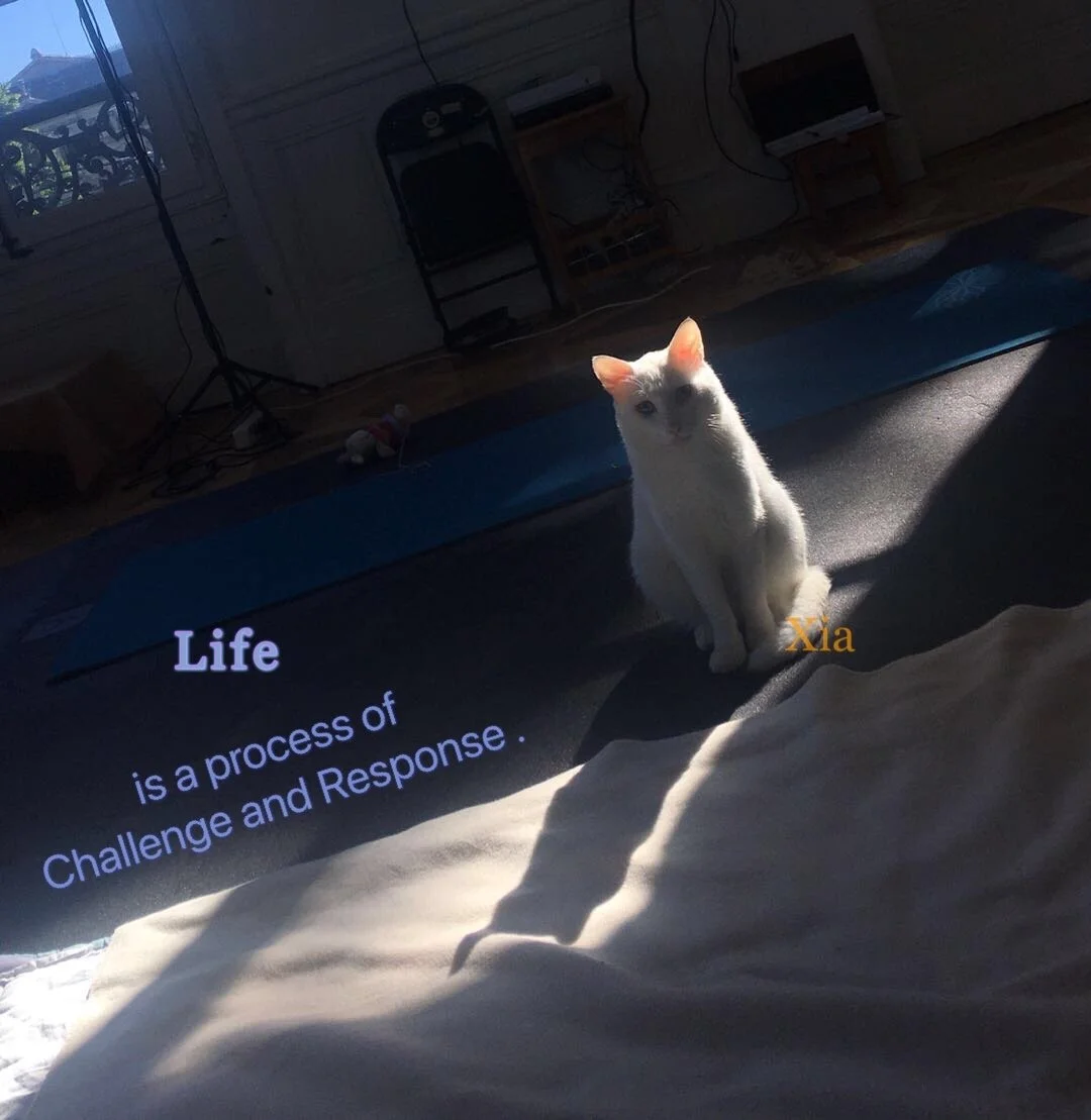 FB - IMG_3794~photo.JPG