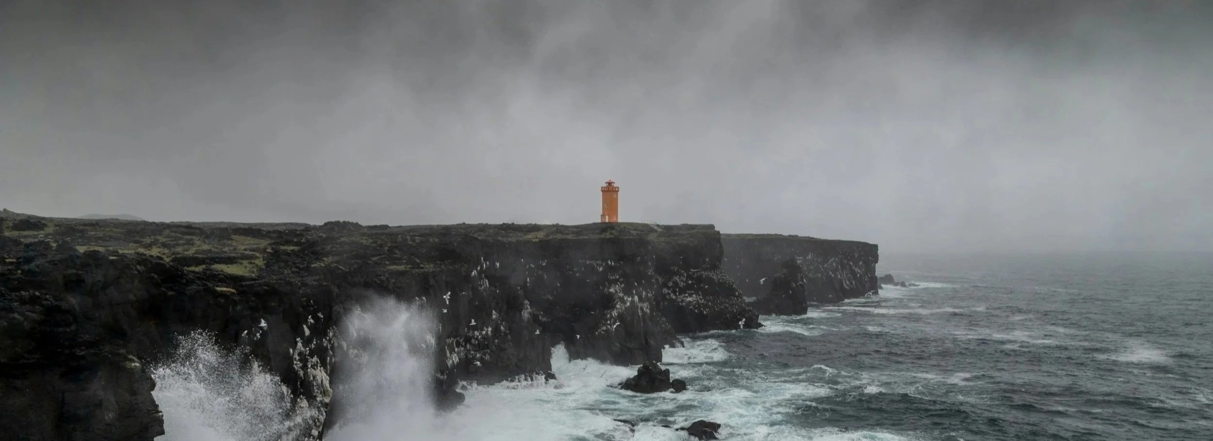 Case Study: National Patient‑Advocacy Not‑for‑Profit