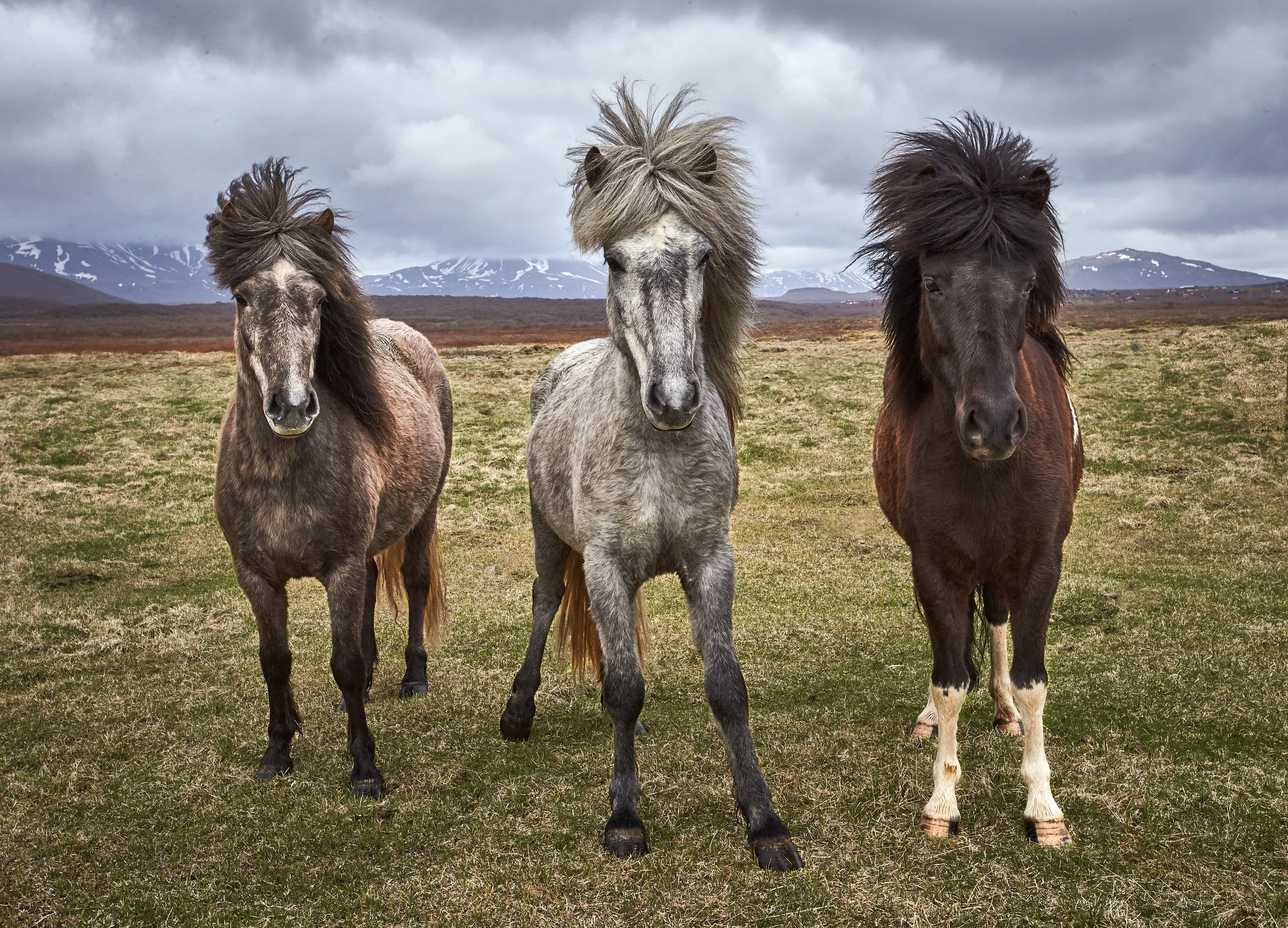 2014-05-14_15-05-57_Canon EOS-1D X_1499 2.jpg