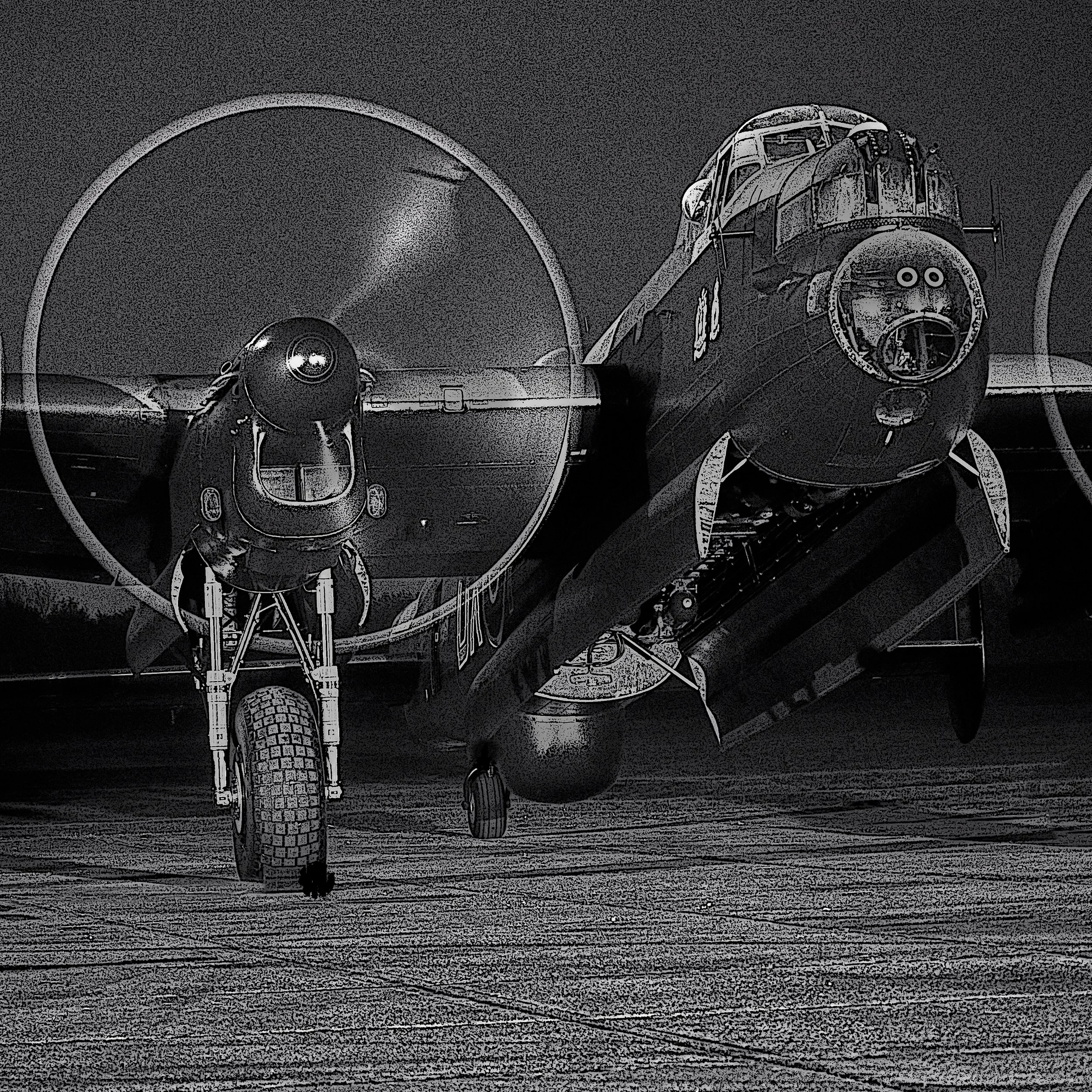 2017-11-03_20-24-34_E-M1MarkII_15404 1.jpg