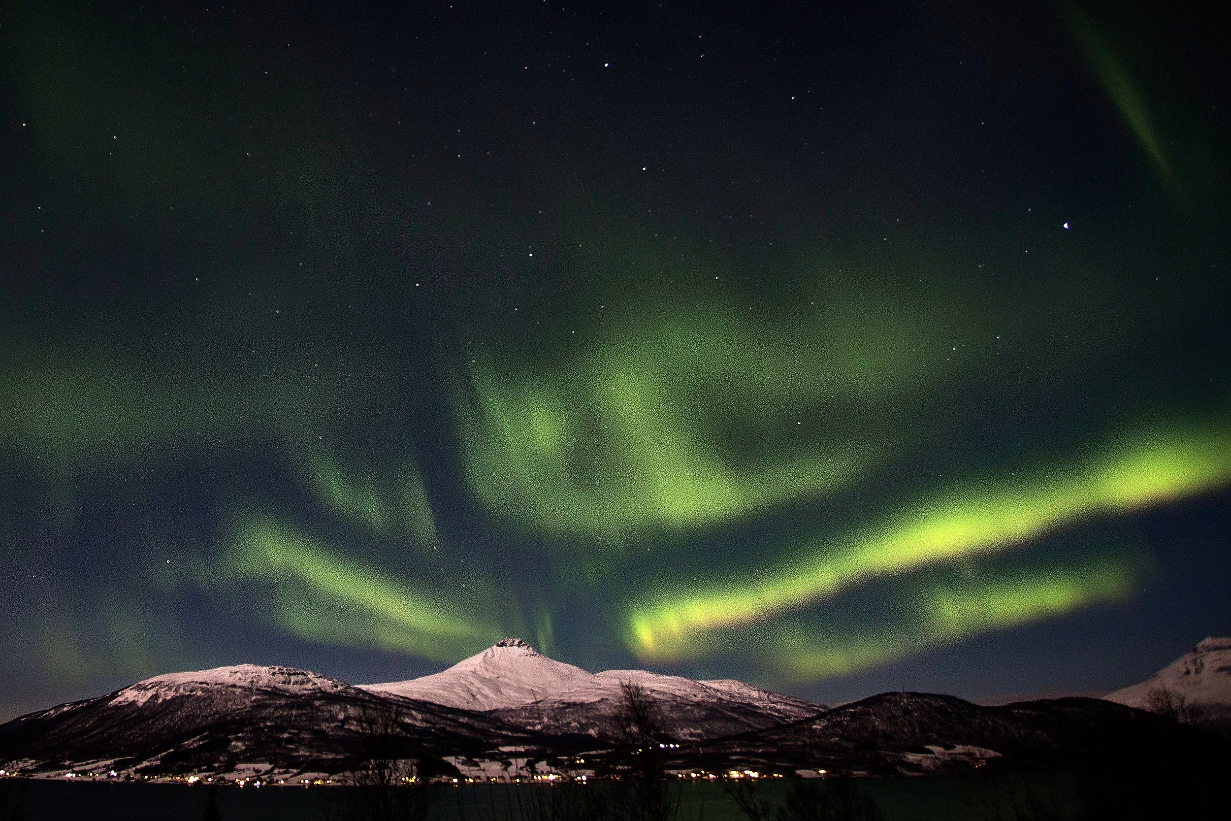 2014-11-08_23-04-00_Canon EOS-1D X_2856.jpg