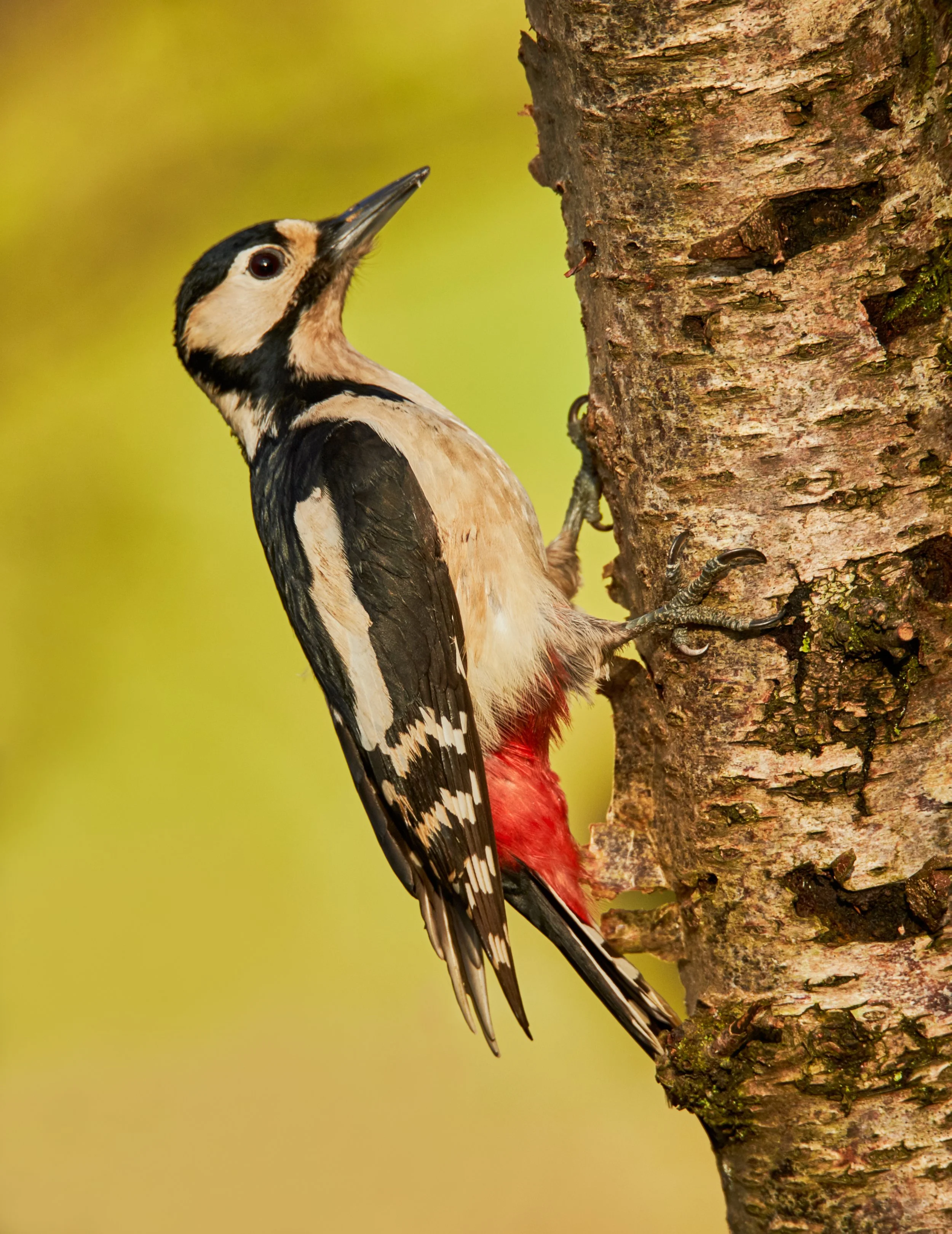 2018-01-20_14-03-41_Canon EOS-1D X_13614_1.jpg