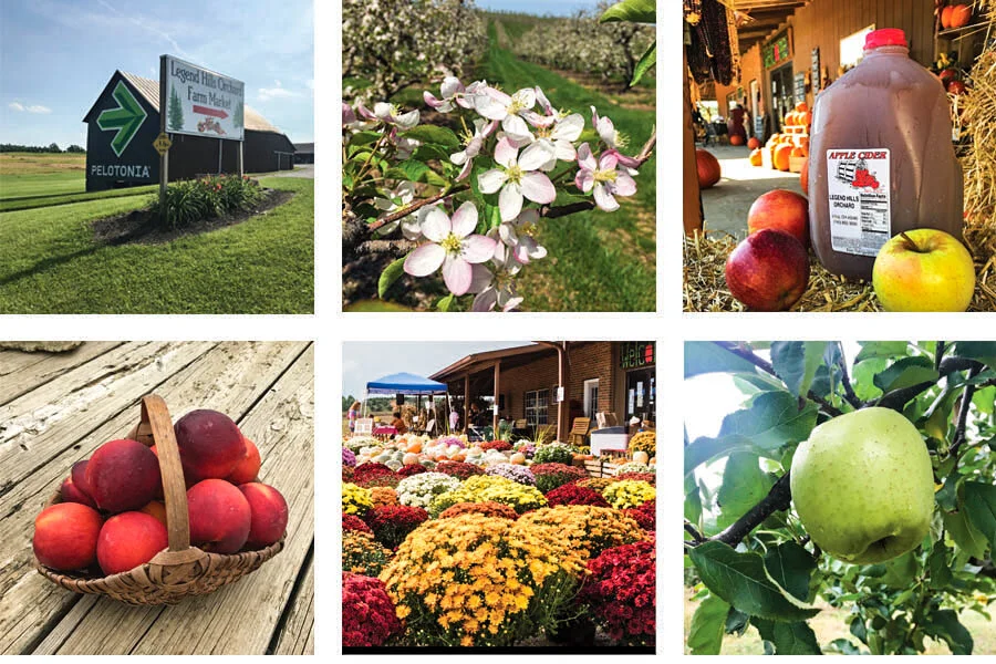 Legend Hills Orchard