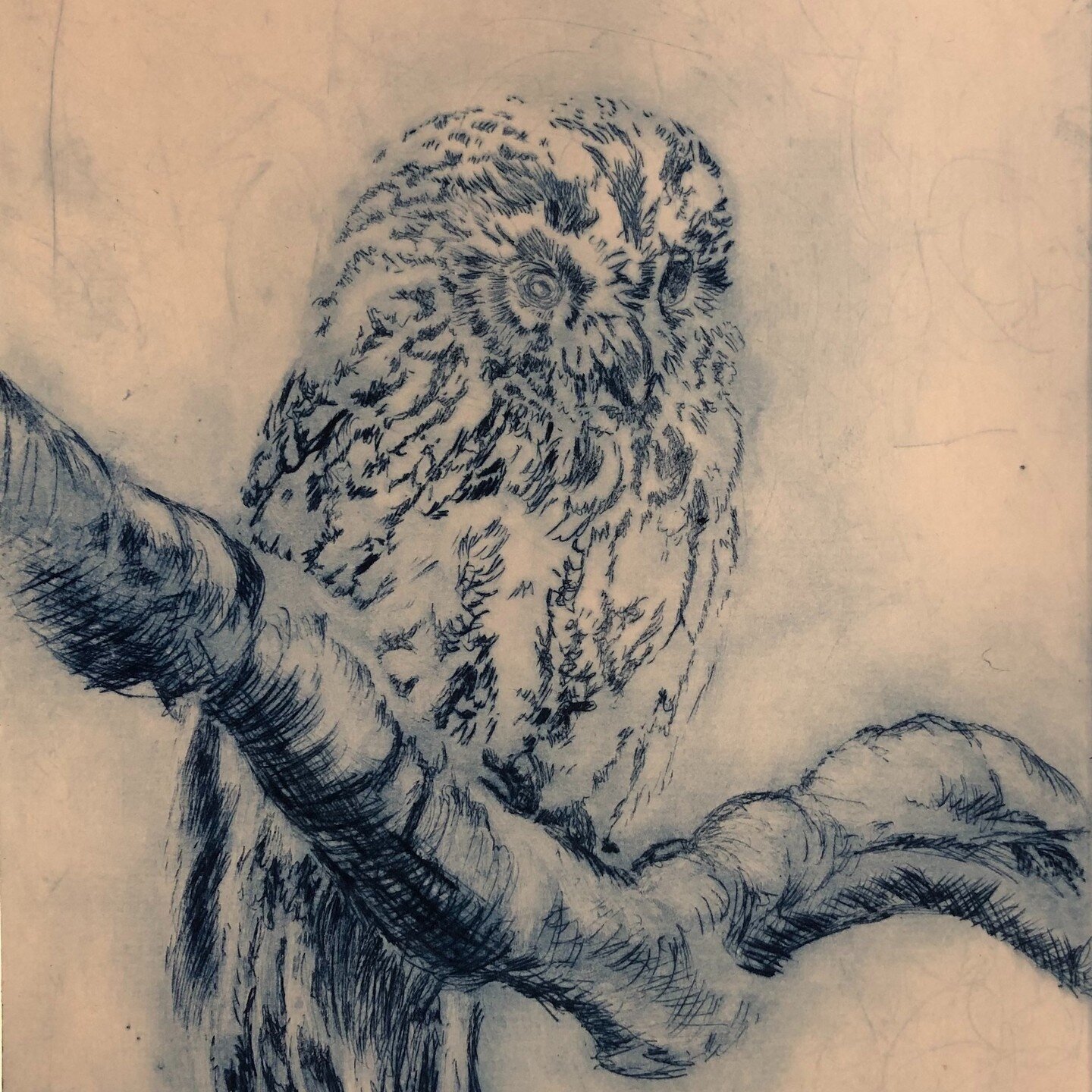 PLACES STILL AVAILABLE! The wonderfully talented Jenny McCabe still has places available for this Saturday's Drypoint on Clear Plastic workshop - catch her before she's busy as a featured artist for the 3rd year running in this years Printfest. Book 