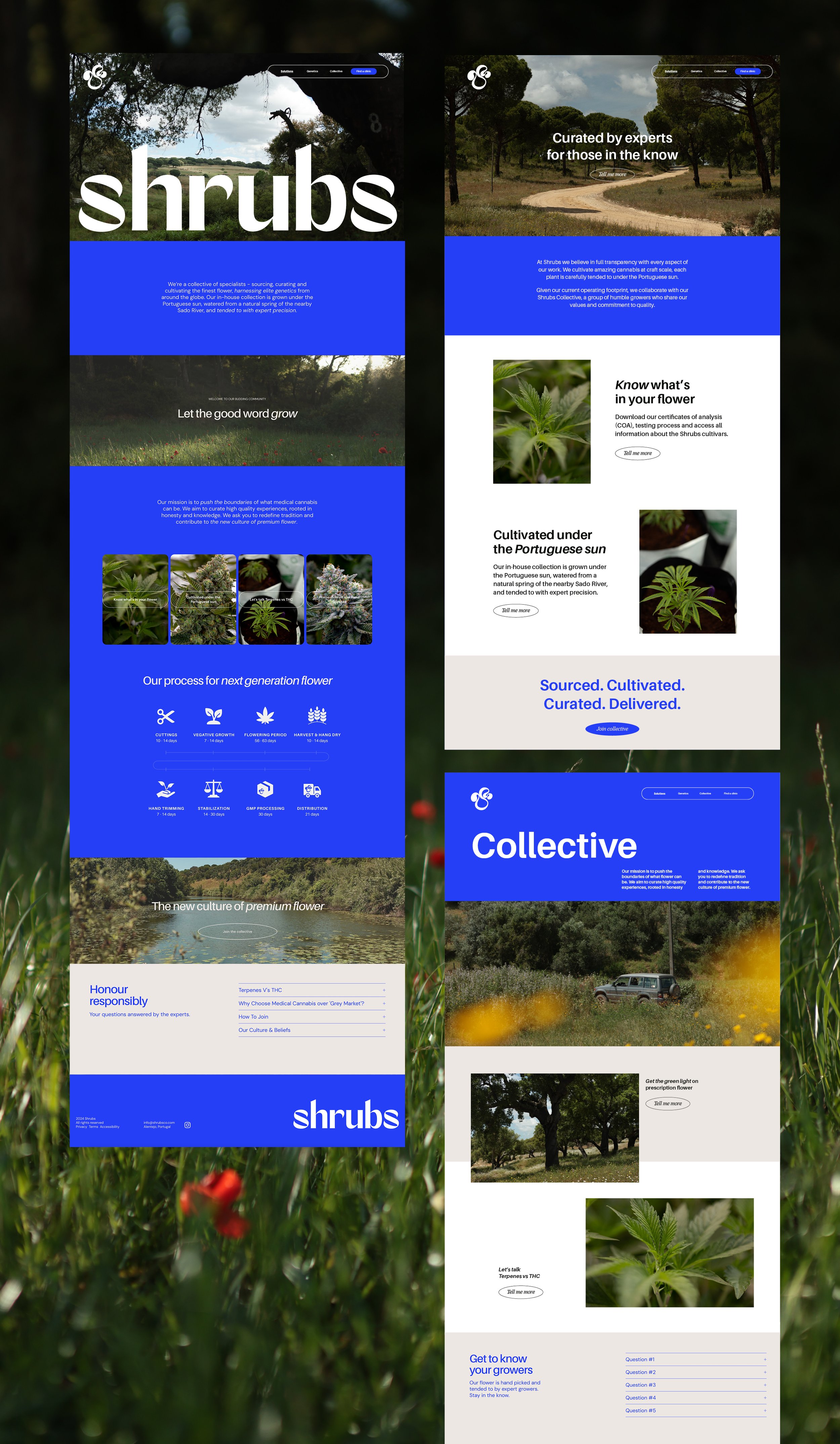 PASSION-POINT-STUDIOS-SHRUBS8.jpg