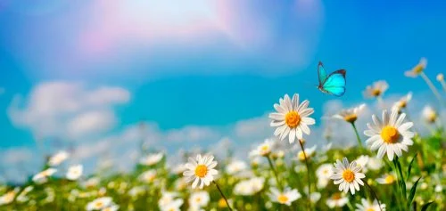 shutterstock_1110158195.jpg