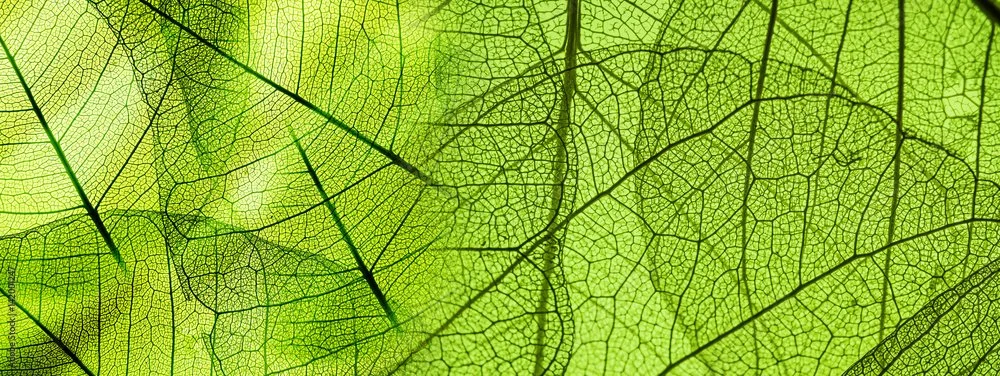 AdobeStock_142001247_Preview.jpeg