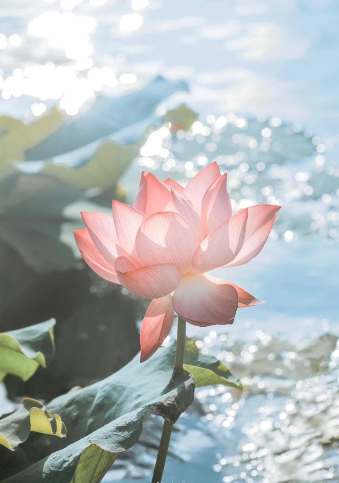 WhatsApp Image 2023-06-06 at 11.58.10 AM.jpeg