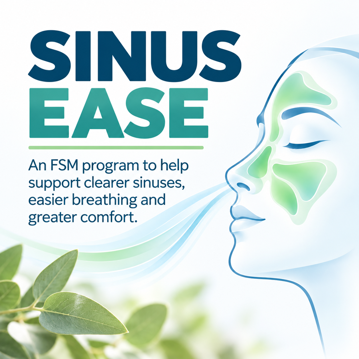 Sinus Ease Wellness Program.png