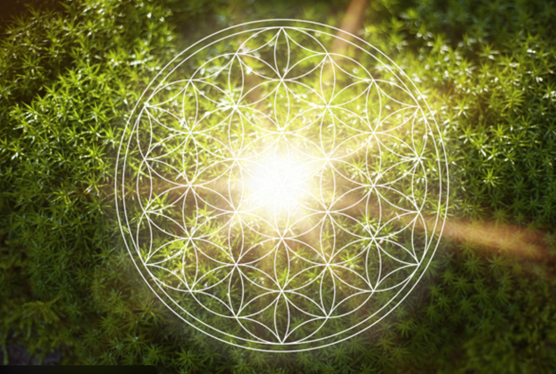 DECEMBER GROUP OPTIMISATION with Timewaver Pro - Deep Renewal & Abundance Activation