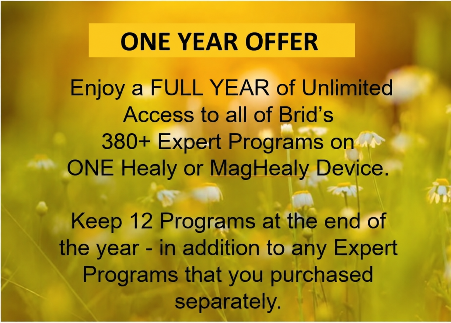 One Year Offer_ 380+ Expert Programs.png