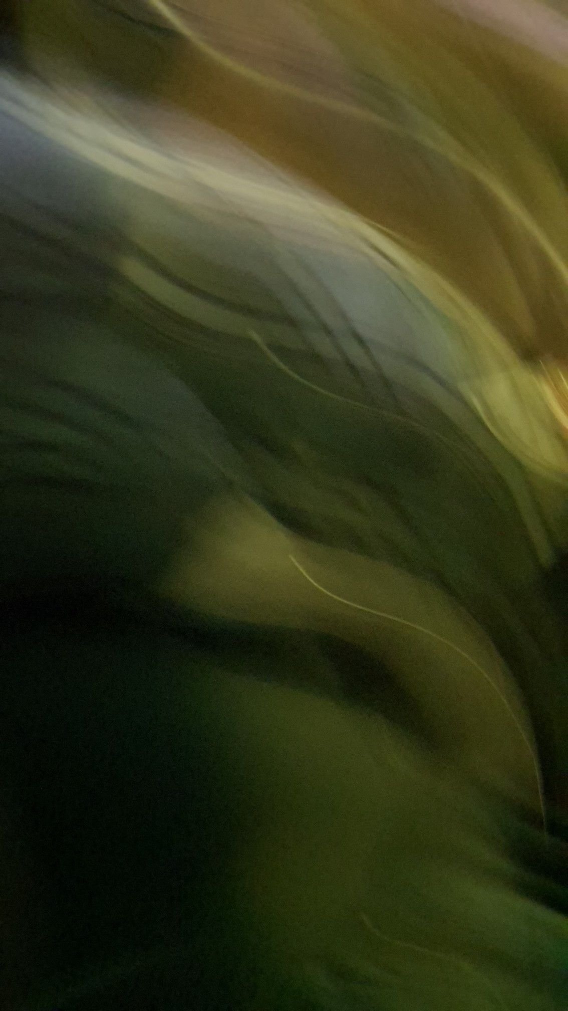 2fddc88cde1b05afcc91c57c2ec72432.jpg