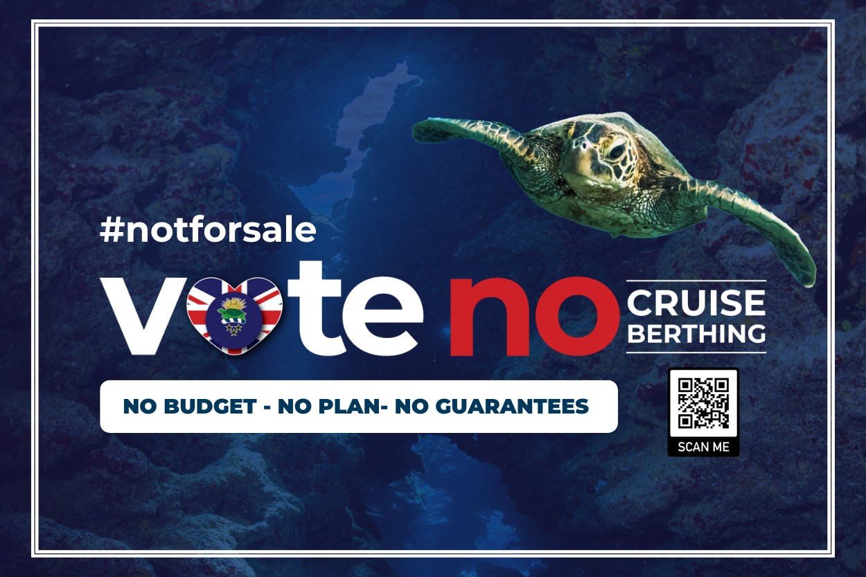Campaign poster design reading: "#notforsale Vote no Cruise Berthing." Subtitle: "No budget. No plan. No guarantees." Background shows an underwater reef with a sea turtle and a QR code linking to more information.