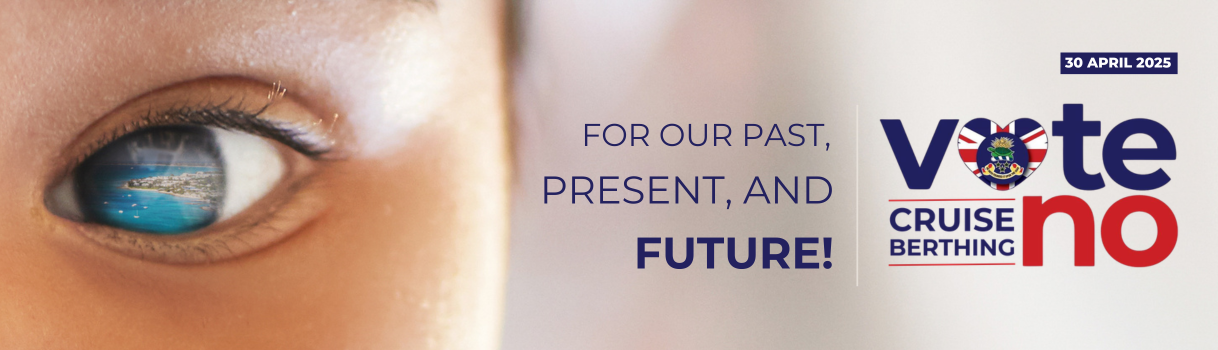 Campaign ad design with child's eye reflecting an island, and the message, "For our past, present, and future. Vote No Cruise Berthing.