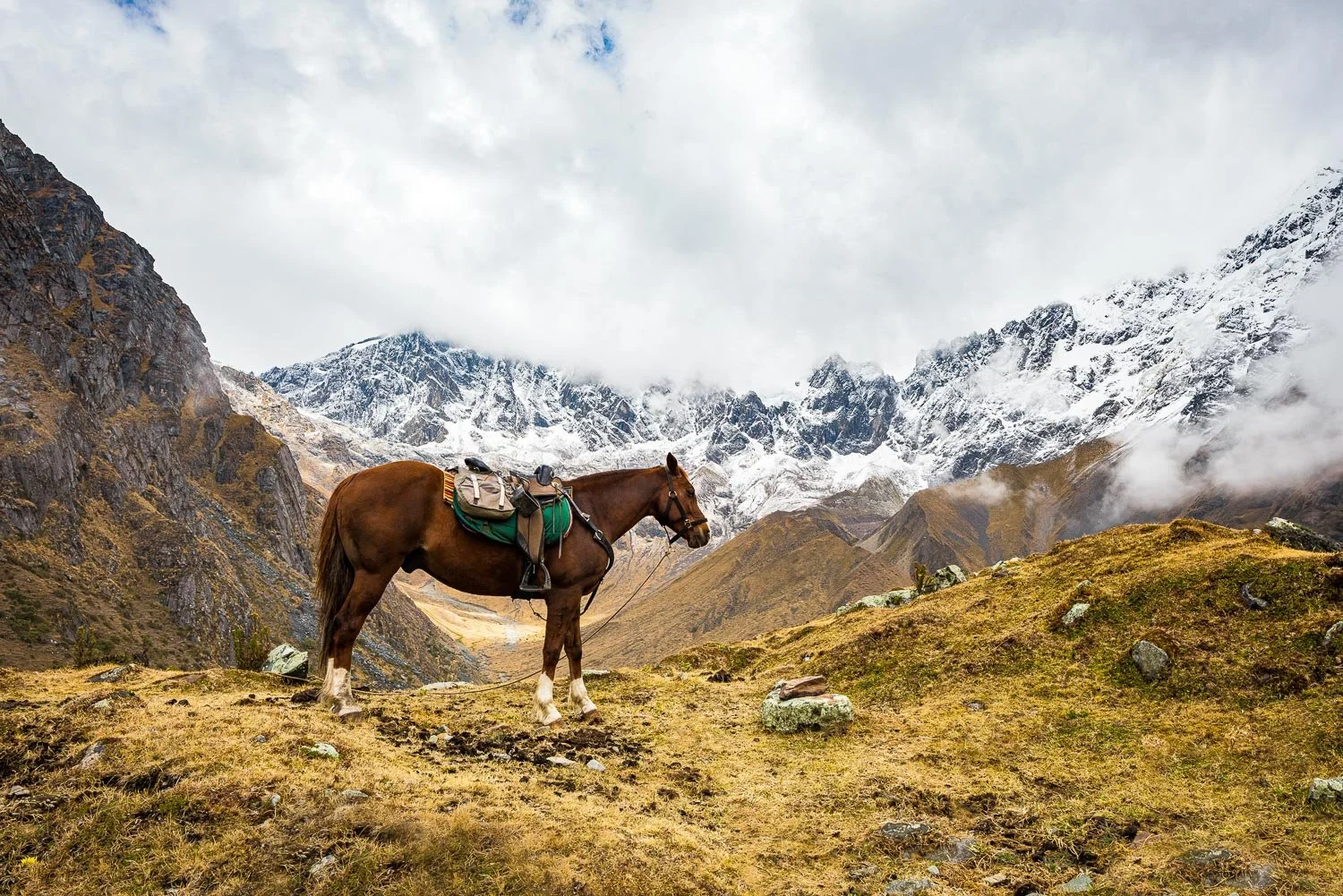 horse in the snowy Peruvian mountains - visiting Peru in October