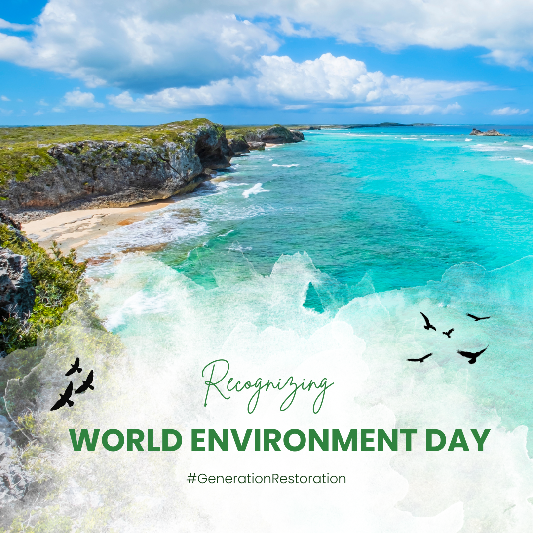 Social media graphic designed for World Environment Day, featuring a vibrant photograph of a coast with turquoise waters, rocky cliffs, and a partly cloudy sky, along with flying birds and green text promoting environmental awareness.