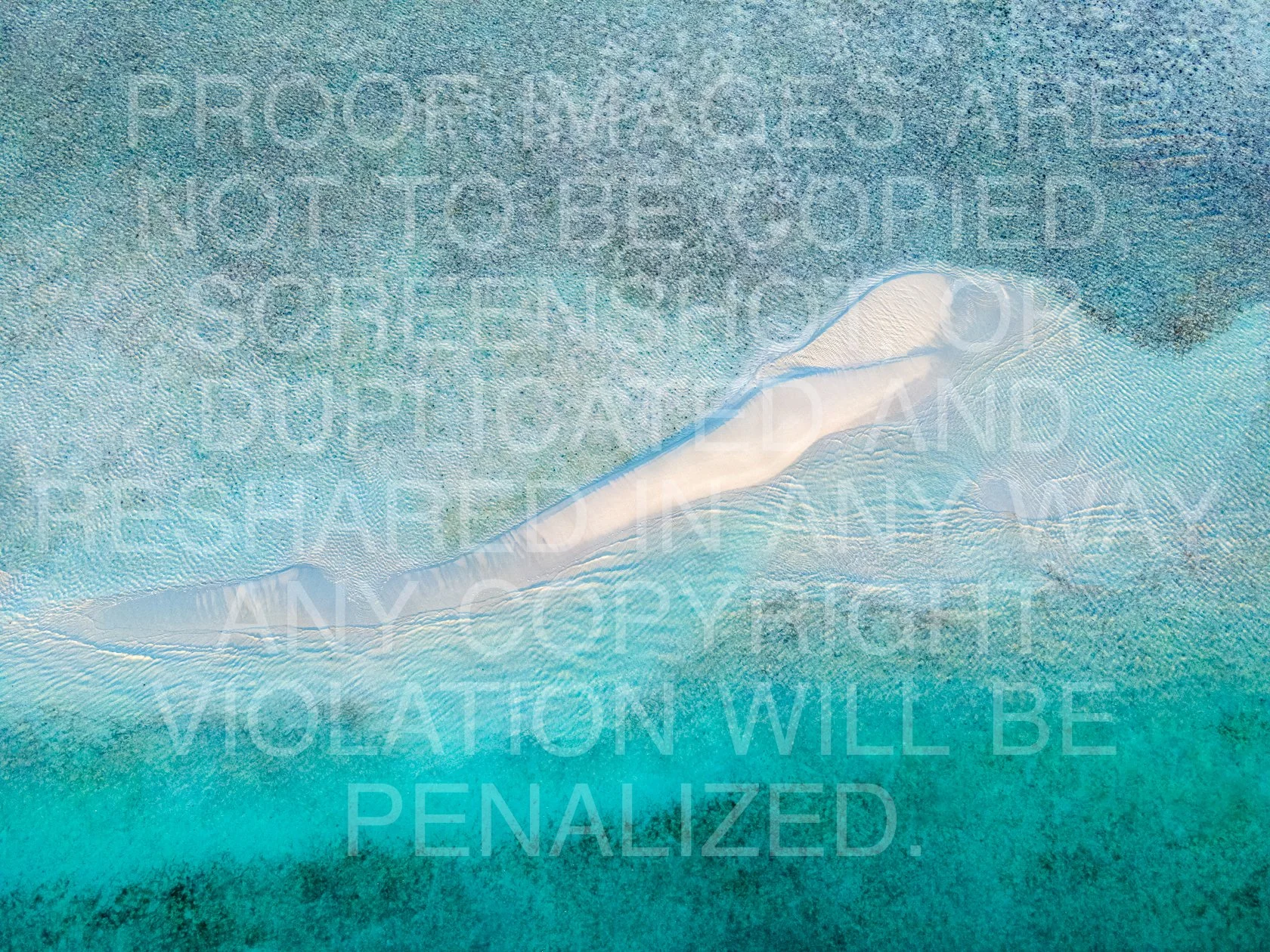 081