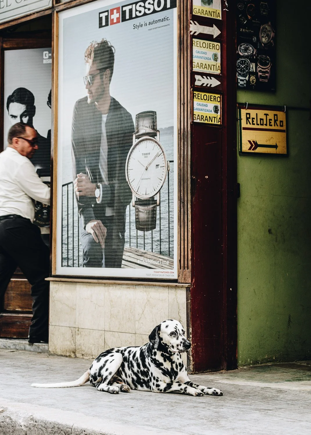 Dalmatian dog on street sidewalk in Havana - visiting Cuba from USA