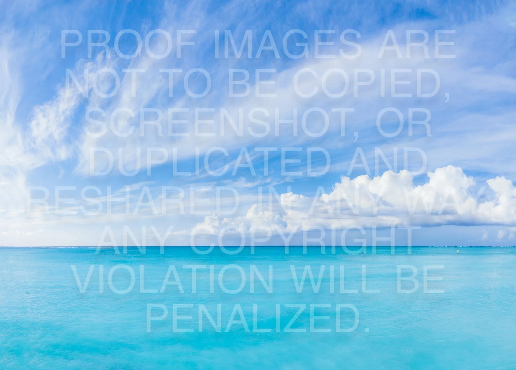 164