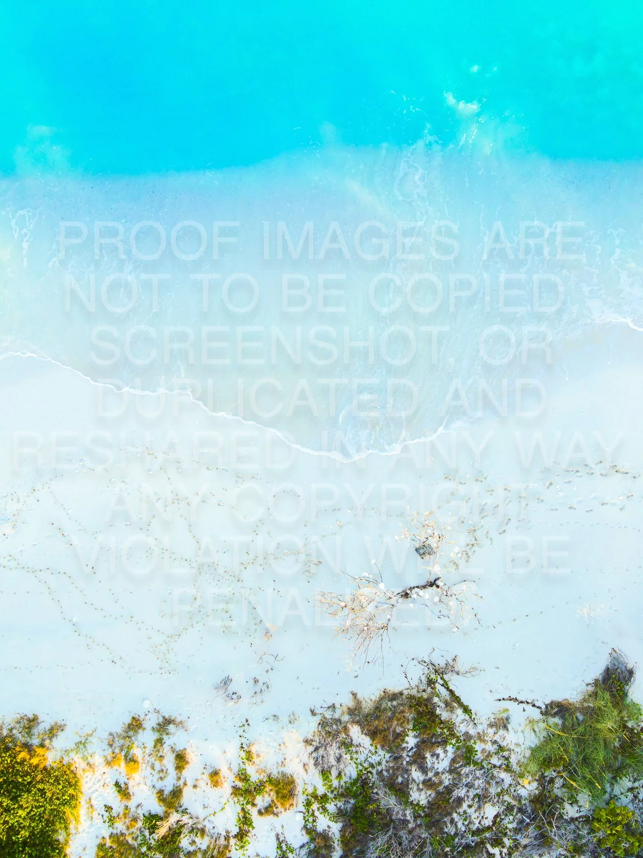 109