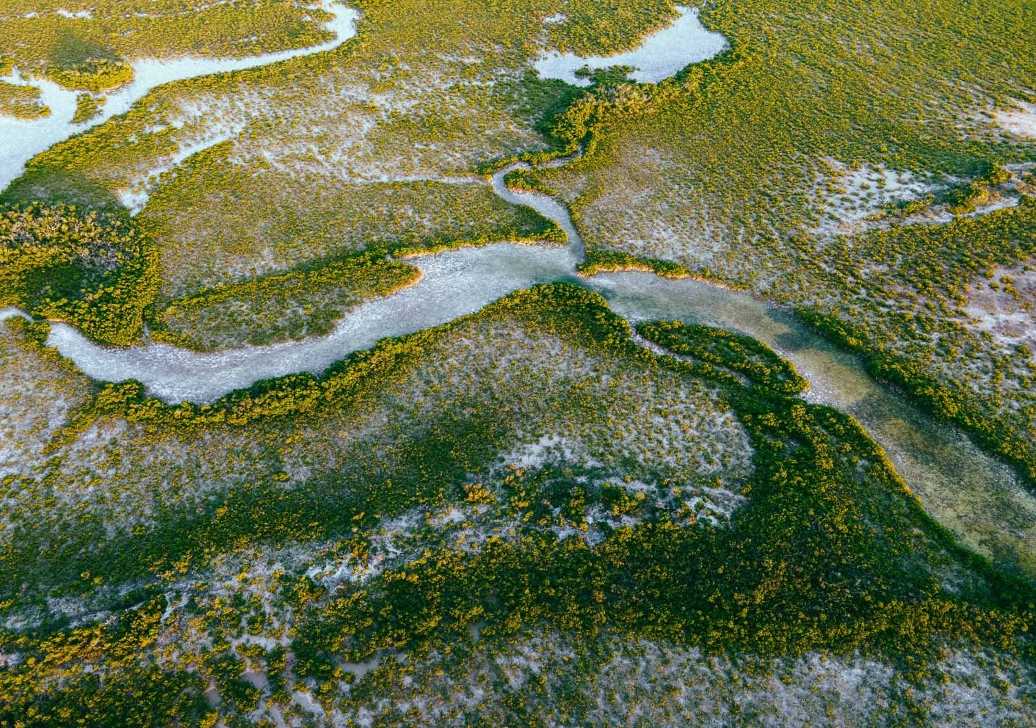 mangrove cay Turks and Caicos at sunset - drone photography how to