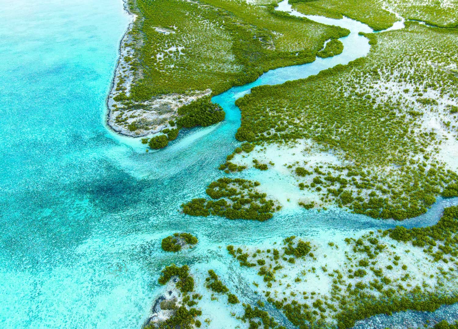 mangrove cay ecotourism - drone photography how to